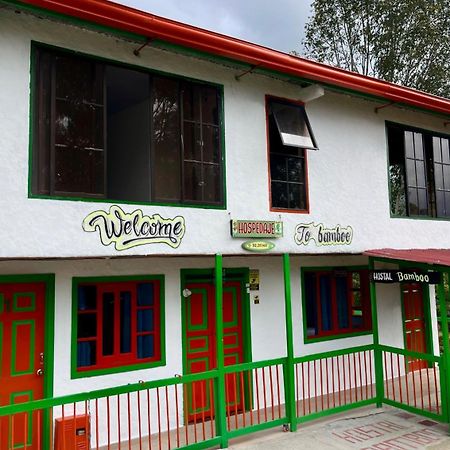 Hostal Bamboo سالنتو المظهر الخارجي الصورة