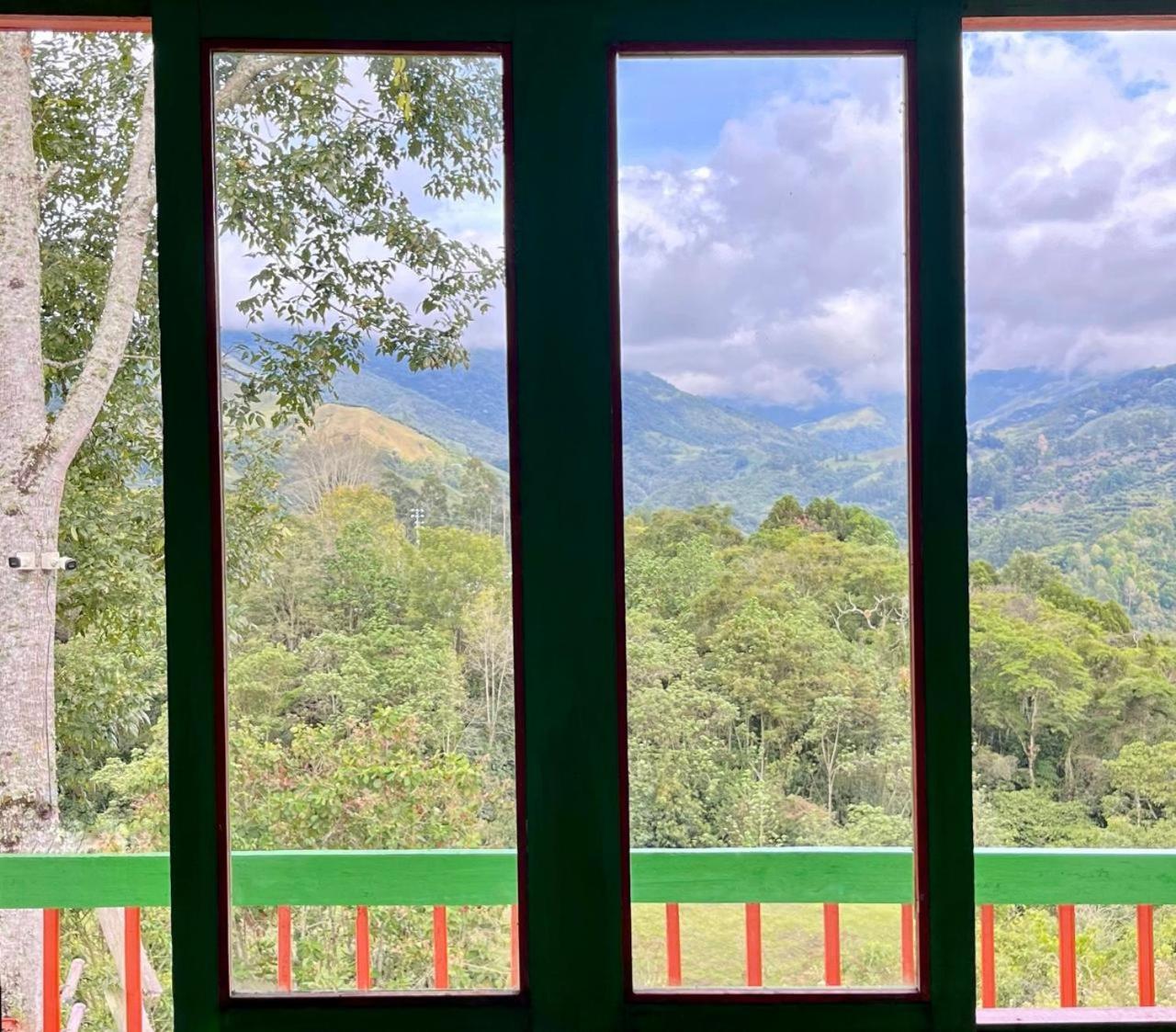 Hostal Bamboo سالنتو المظهر الخارجي الصورة