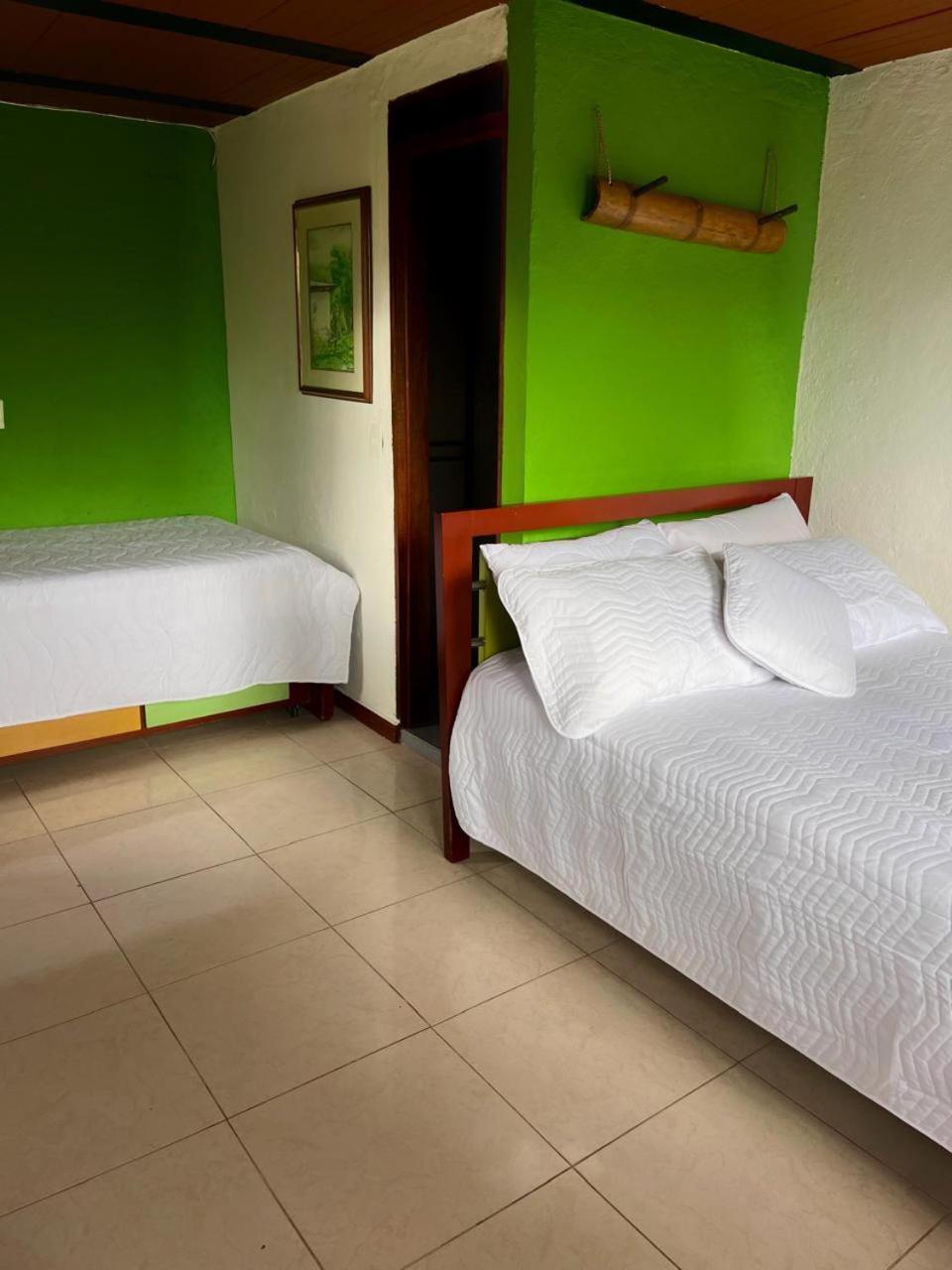 Hostal Bamboo سالنتو المظهر الخارجي الصورة